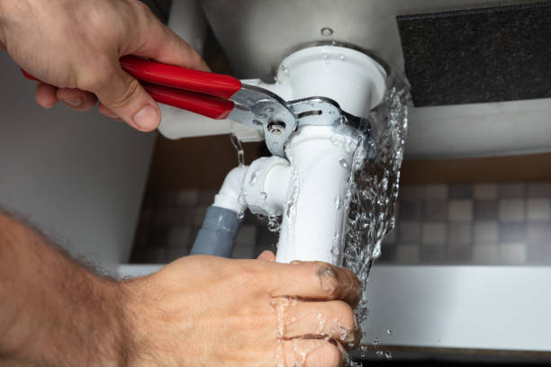 Best 24-hour water damage restoration  in Justice, IL