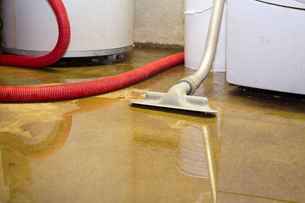 Best Sewage cleanup and water damage restoration  in Justice, IL