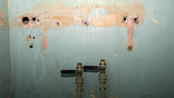 Best Flooded house restoration  in Justice, IL